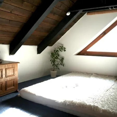Villa In With Garden Benecko